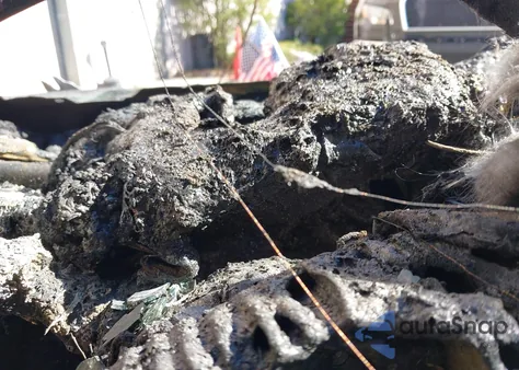 2023 Lexus Es 250 from USA, damaged, VIN 58AD11D14PU011341